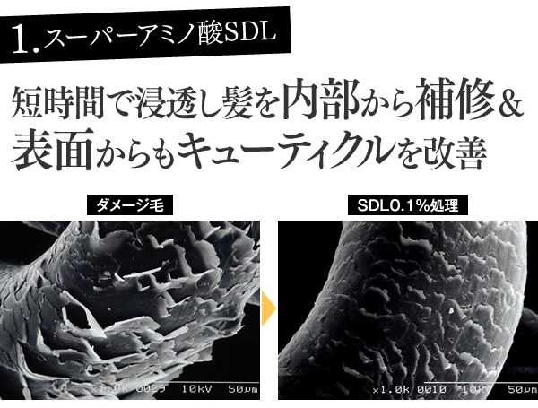 1.スーパーアミノ酸SDL